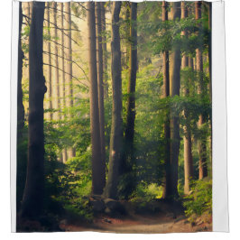 Natur, Bäume im Nationalpark Duschvorhang