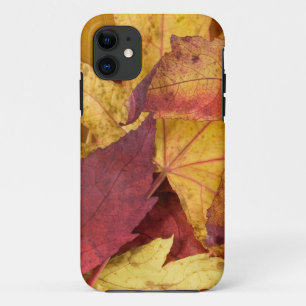 Natur Blätter Herbst Tree Leaf Farbenfrohe Kunst iPhone 11 Hülle