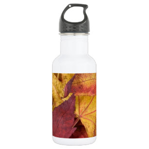 Natur Blätter Herbstlaub Baum Blatt Farbige Kunst Trinkflasche