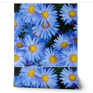 Natur Blumenblüten Blume Petals Botanisch Tapete