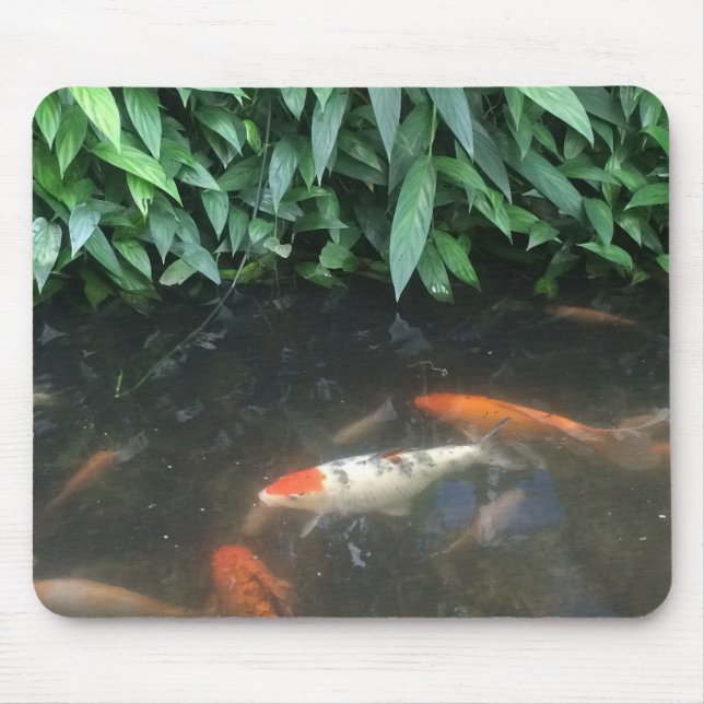 Natur coole Koi Fische in der Mousepad (Vorne)