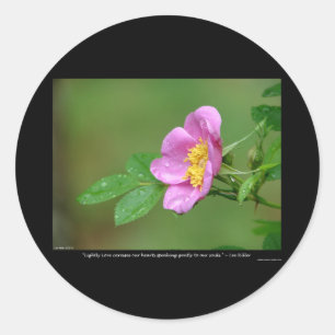 Natur der Liebe Wilde Rose Frühlingssturm Schönhei Runder Aufkleber