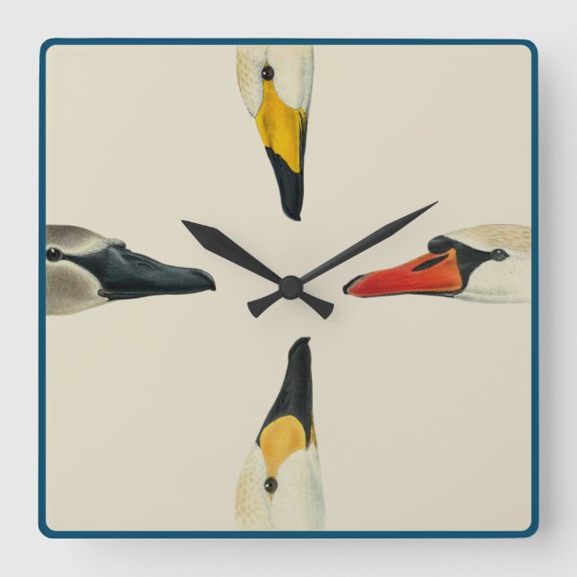 Natur Die vielen Gesichter einer Swan-Wall-Uhr Quadratische Wanduhr (Vorderseite)