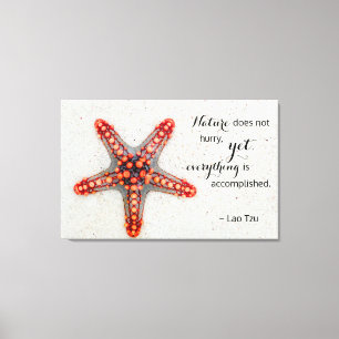 Natur-DruckStarfish mit Lao Tzu Zitat Leinwanddruck