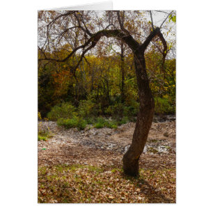 Natur erreicht