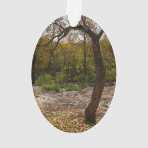 Natur erreicht ornament