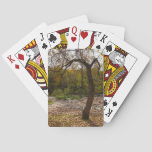 Natur erreicht spielkarten