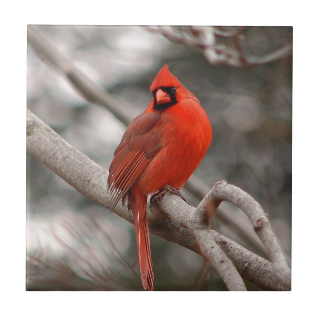 Natur Fliese (Vorderseite)