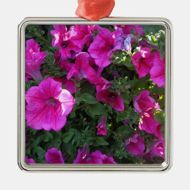 Natur, Flora, rosa Blume Silbernes Ornament (Vorne)