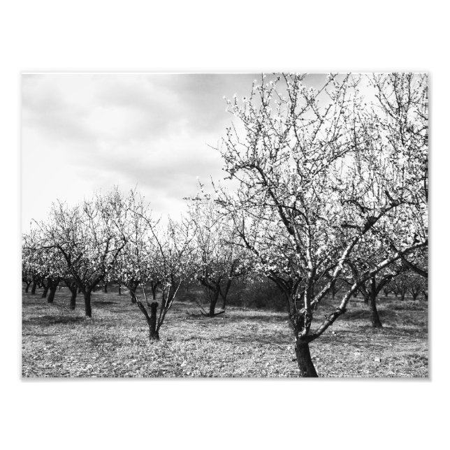 Natur Fotodruck (Vorne)