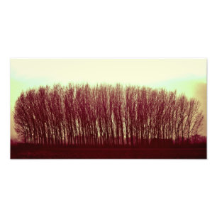 Natur Fotodruck