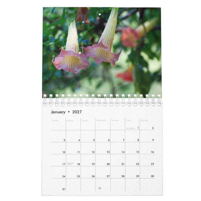 Natur-Fotografie-Kalender Kalender (Jan 2027)