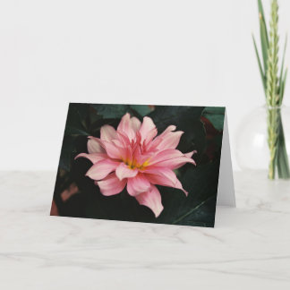 Natur-Fotografie Karte