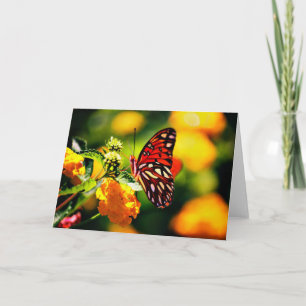 Natur-Fotografie Karte