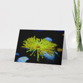 Natur-Fotografie Karte