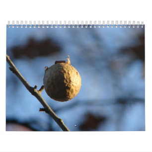 Natur-Fotos Kalender