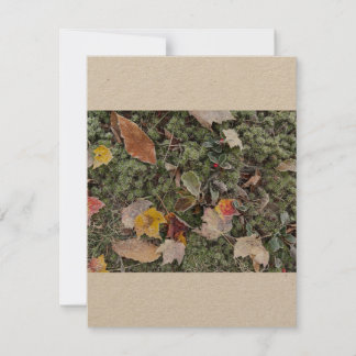 Natur harter Frost, flache Note Card Mitteilungskarte