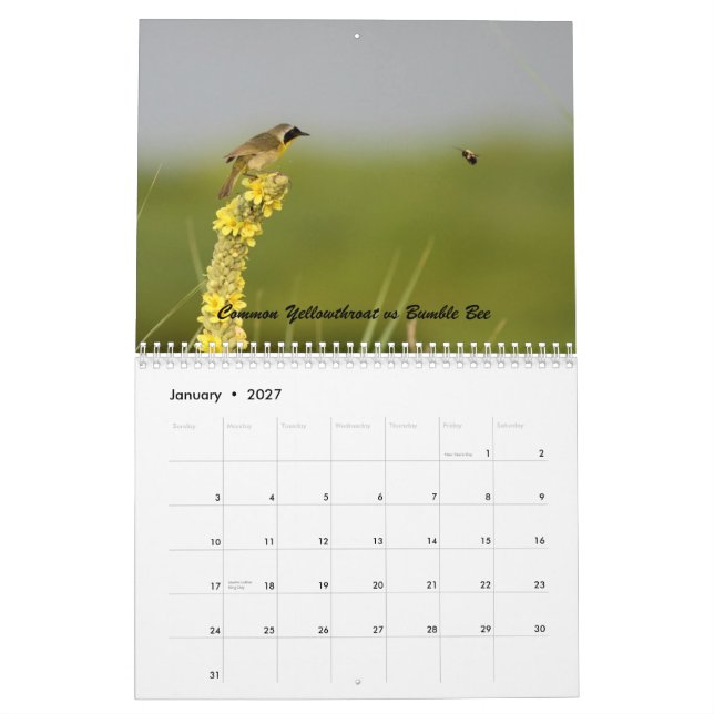 Natur hat eine Richtung des Spaßes Kalender (Jan 2027)