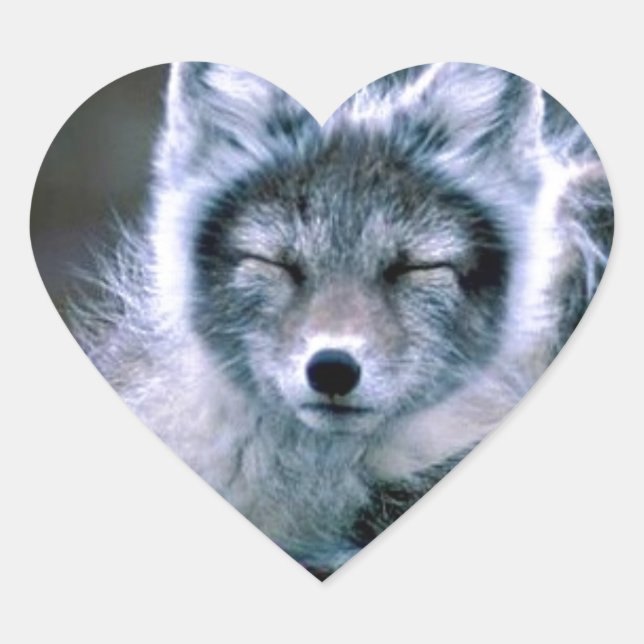 Natur Herz-Aufkleber (Vorderseite)