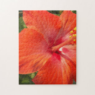 Natur, Hibiskus, Blume, Sommer, Blumen, tropische Puzzle