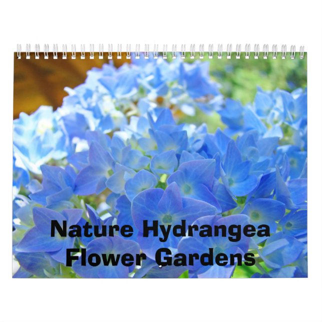Natur Hydrangea Blumengärten Fotografie Kalender (Titelbild)