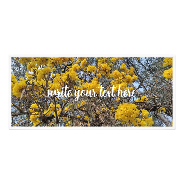 Natur in Blüte Werbekarte (Vorne)