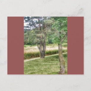 Natur in Schönheit 2 Postkarte