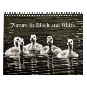 Natur in Schwarz und Weiß Kalender