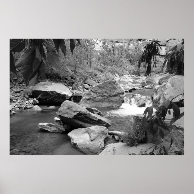 Natur in schwarz-weiß poster (Vorne)