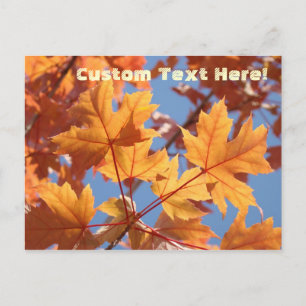 Natur Individueller Text Postkarten Herbstbaumblät