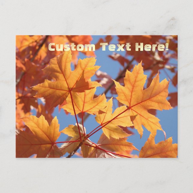 Natur Individueller Text Postkarten Herbstbaumblät (Vorderseite)