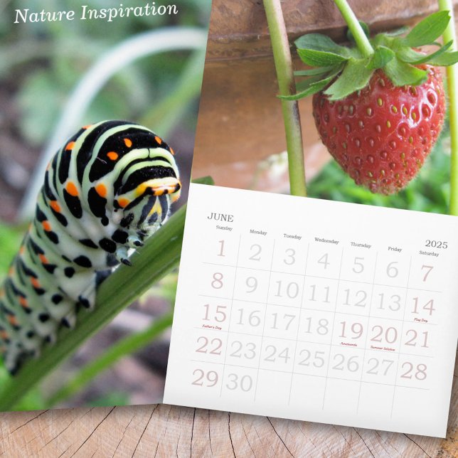 Natur-Inspiration-Foto Kalender (Nature Inspiration Photo Calendar)