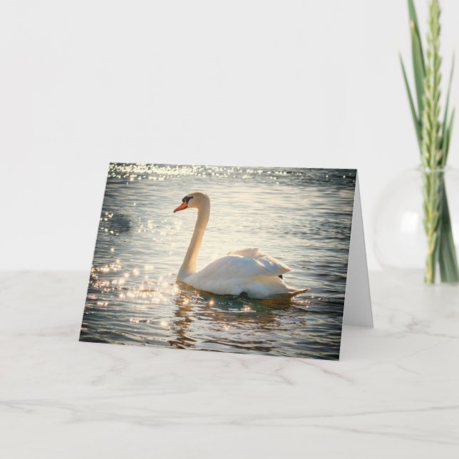Natur Inspirationen Elegante Swan Grußkarte Karte (Vorderseite)