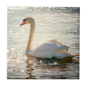 Natur Inspirationen Eleganter Schwan Fliese