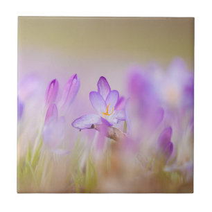 Natur Inspirationen Ethereal Lilac Blume  Fliese