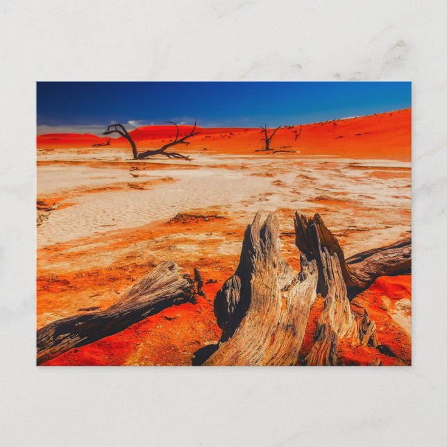 Natur-Inspirationen Namibia, Afrika Postkarte (Vorderseite)
