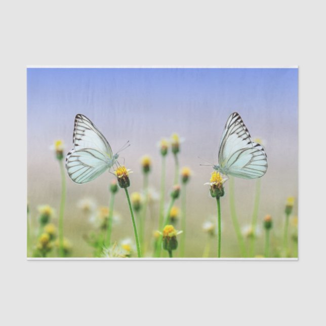 Natur Inspirationen White Twin Butterflies  Seidenpapier (Vorderseite)