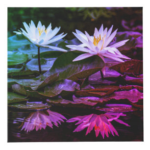 Natur Inspiriert 4" Foto Cube Würfel
