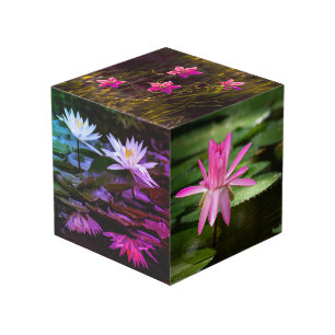 Natur Inspiriert 4" Foto Cube Würfel