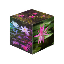 Natur Inspiriert 4" Foto Cube