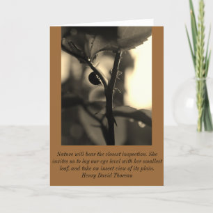 Natur-inspirierte Gruß-Karte mit Marienkäfer Karte