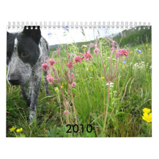 Natur-Kalender 2010 Kalender