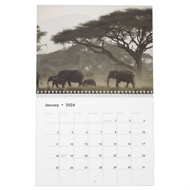 Natur-Kalender 2012 Kalender (Jan 2026)