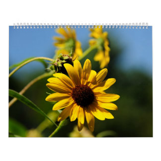 Natur-Kalender 2014 Kalender