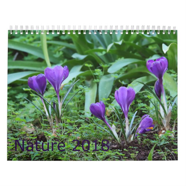 Natur-Kalender 2018 Kalender (Titelbild)