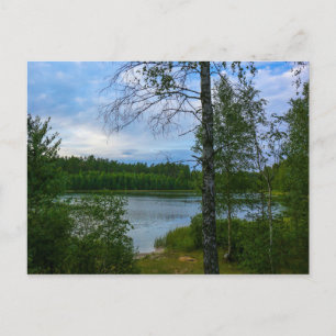 Natur Landschaft Szenerie Birke Belarus Postkarte