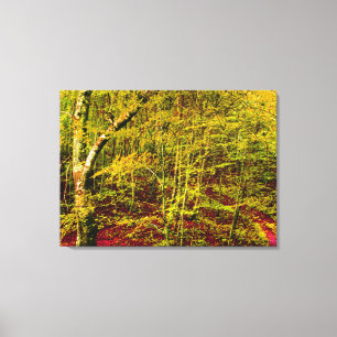 Natur Leinwanddruck