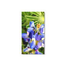 Natur mitreißende Frühlingsflora-Kollektion