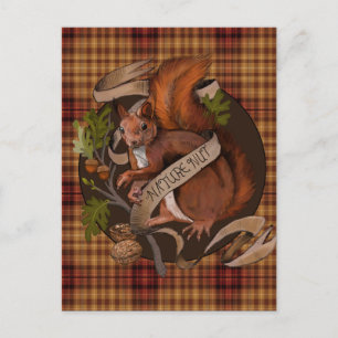 Natur-Nuss-Eichhörnchen Postkarte
