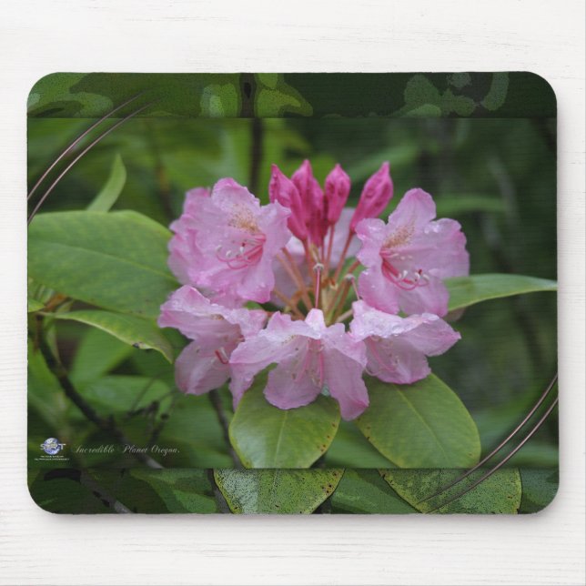 NATUR OREGON MOUSEPAD (Vorne)